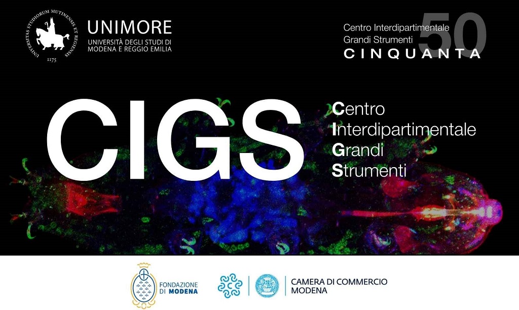 Banner 50 anniversario dalla fondazione del CIGS UniMORE