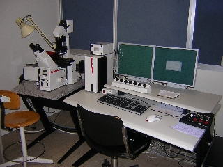 Microscopio confocale Leica TCS SP2 con AOBS